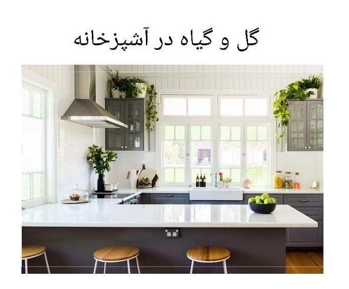 گل و گیاه در آشپزخانه: زیبایی و انرژی مثبت